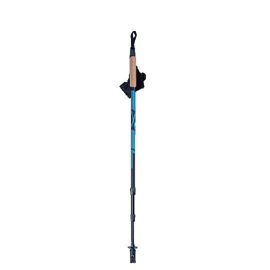 Nordic Walker Adjustable, Evo Black/Cyan