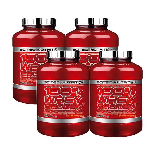 4 x 100% Whey Protein Professional, 2350 g, BIG BUY