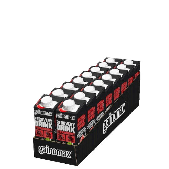 16 x Gainomax Recovery, 250 ml