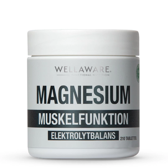 Wellaware Magnesium 210 Tabs