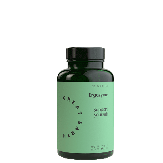 Ergozyme, 90 tablettia