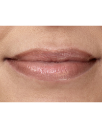 Twist-Up Gloss Stick, 58 Bare Belle